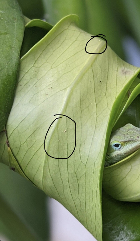 39C5C2E9-E465-430C-B43E-E54D970E02DC