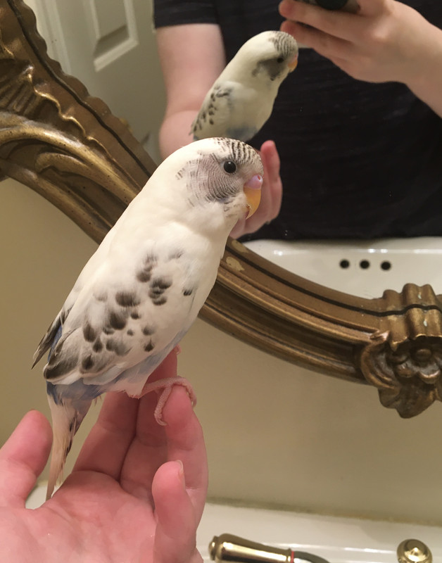 481C9383-862D-4D2B-92E0-AC90E4B29F0C