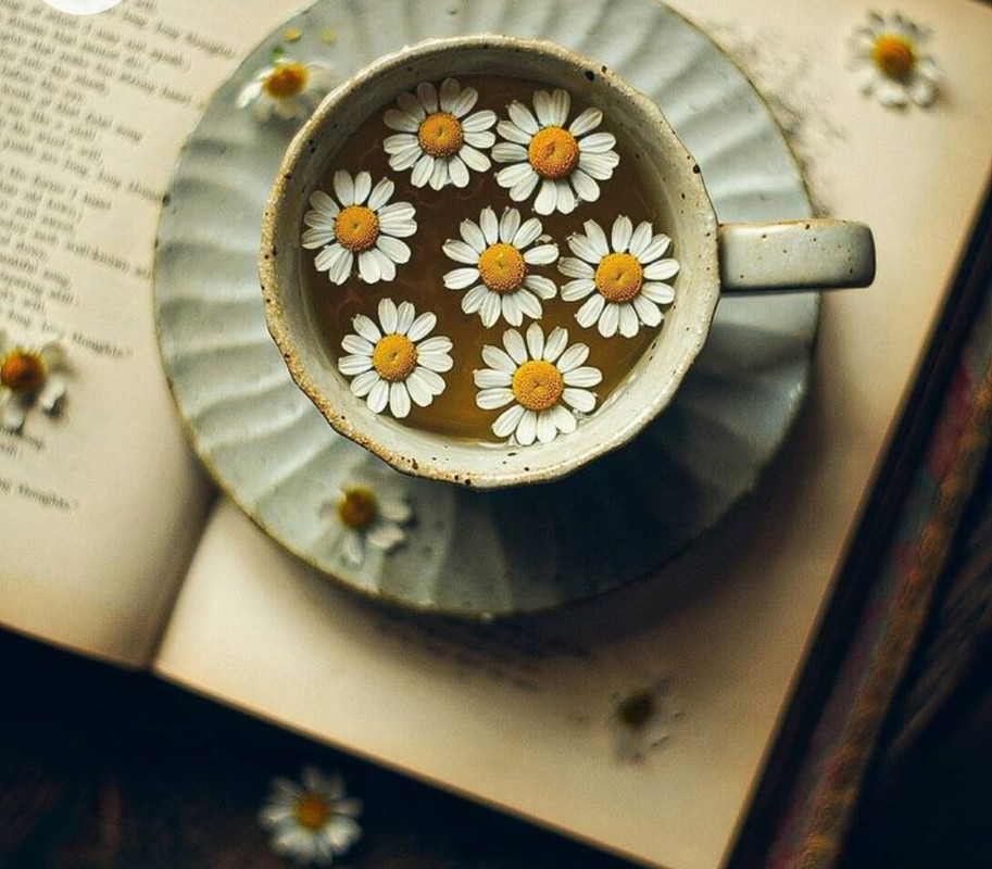 Screenshot_20221227_021133_Chrome