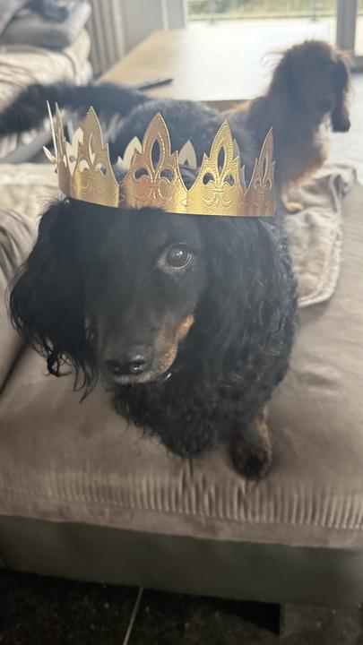 [Image: IMG-5012.jpg]