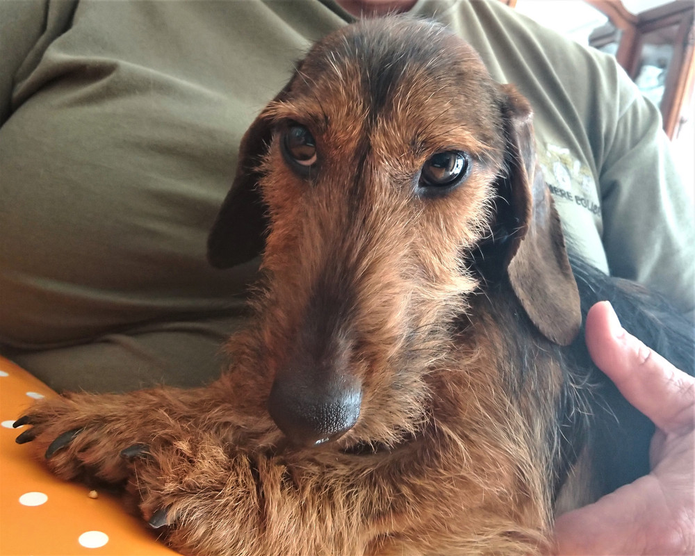 [Image: Tam-Tam-3.jpg]