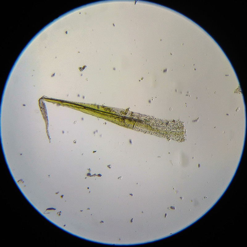 IMG 20250614 124314 HDR