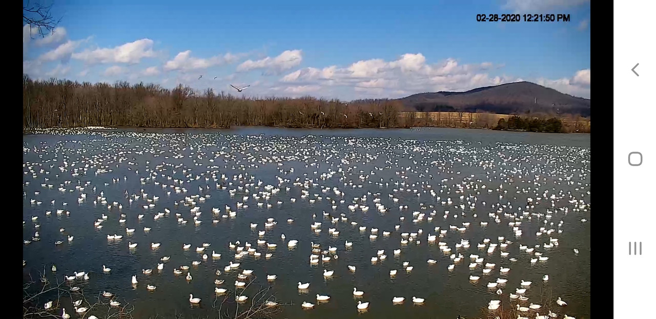 Screenshot_20200228-122231_Chrome