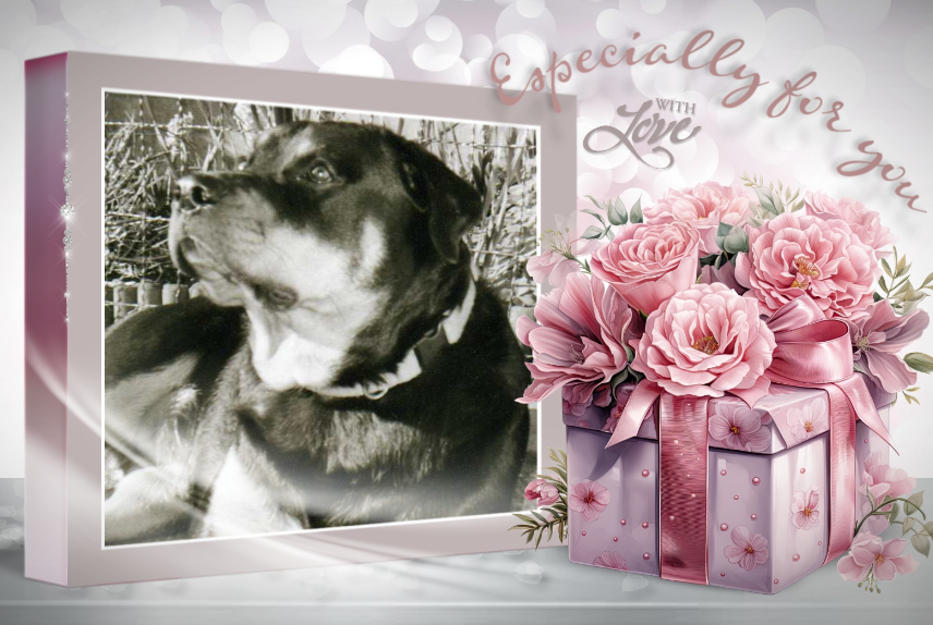 ZZZZZZZZ 21 Especially