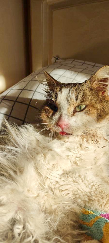 DD057D8C-4E92-45B4-87B6-EDDD35F4CBD5