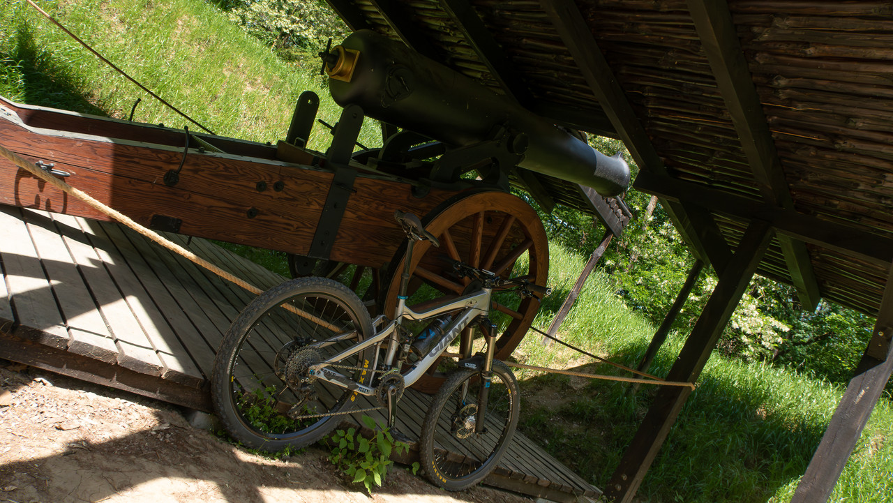 IMG-5204-Poprawione-Szum.jpg