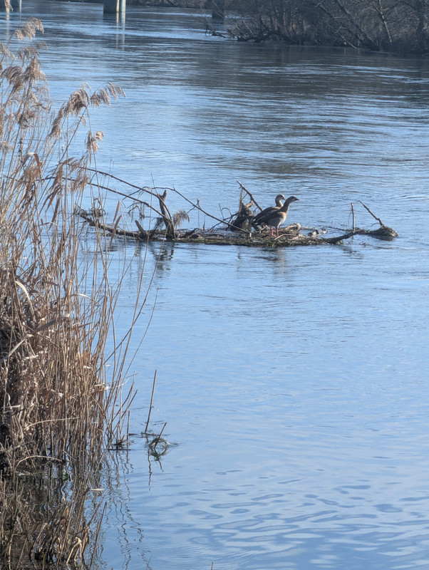 PXL 20260207 111549694