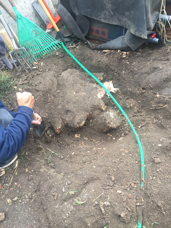 C25EEBBC-48FB-452F-AE55-2B5E7FA0235D