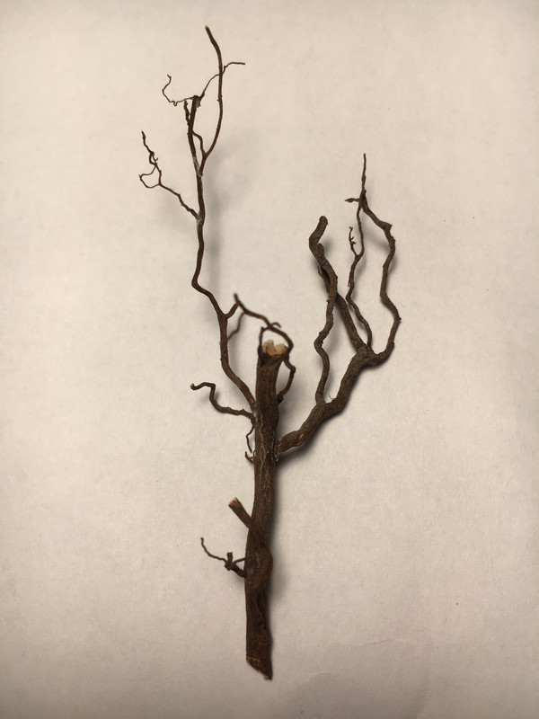 C9A8245D-472C-40DB-A386-0A485CBC309F