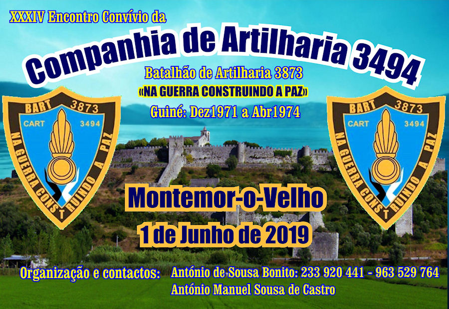 CArt3494-01-Jun2019-900