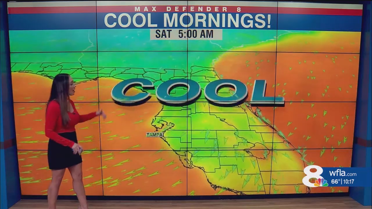 NewsChannel 8 News at 1000pm_20241116_03000330.ts_snapshot_18.22.315