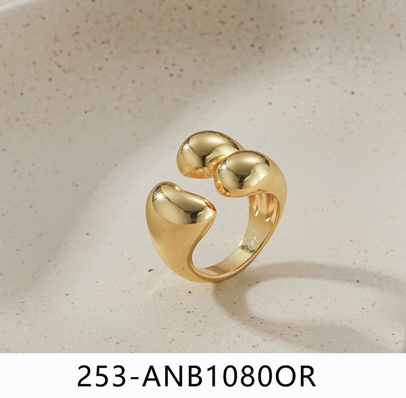253 ANB1080OR