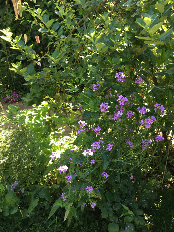 A32476BE-48B4-493B-AECB-0CDB75BE4587