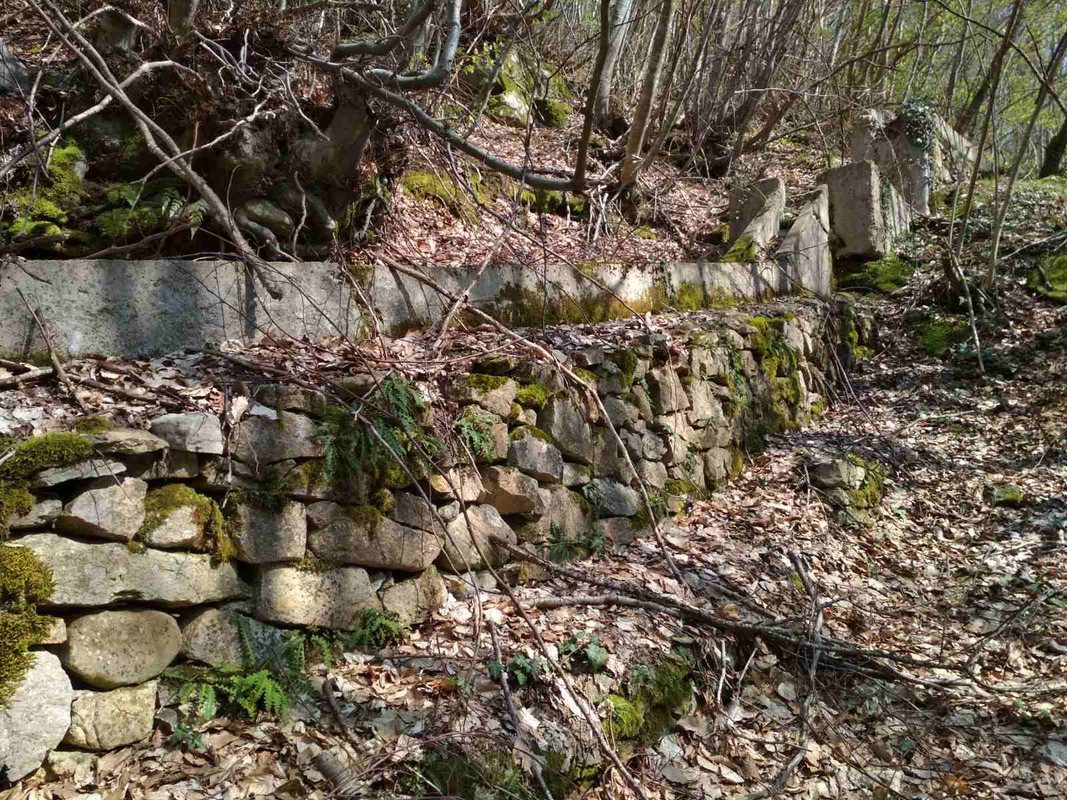 A1CD986E-AA7C-4371-A4BE-CAC00B5FFD05