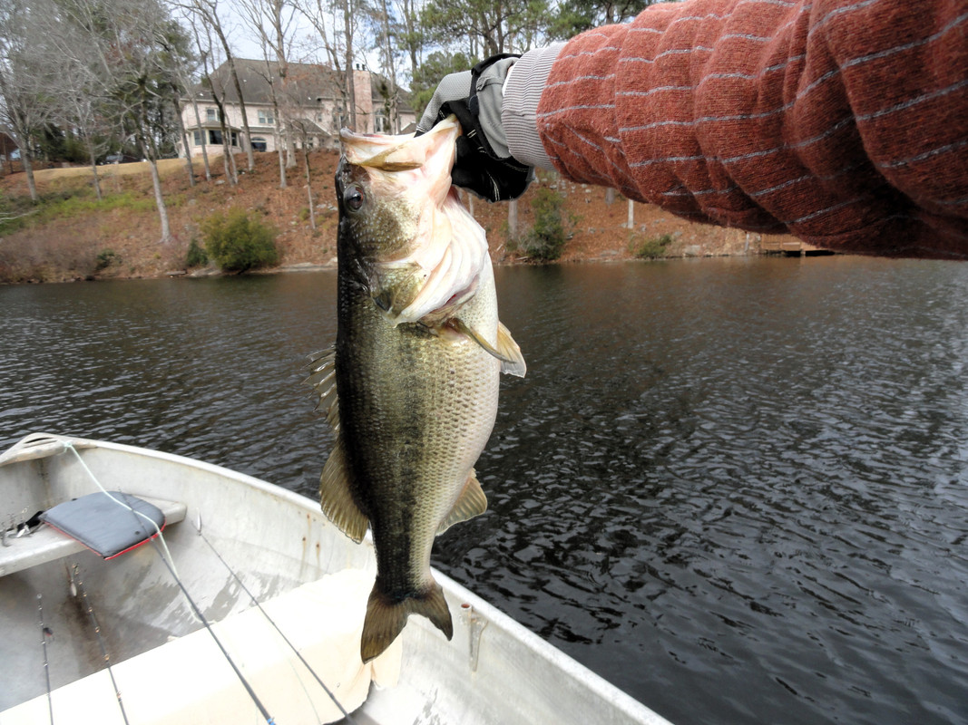 5-4-on-real-shad-blade-in-the-middle-of-
