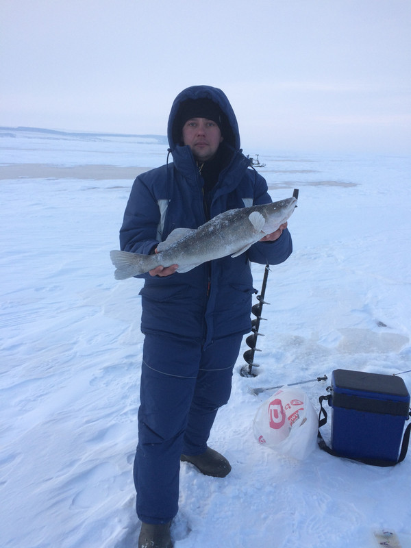 110F326E-7073-45A9-91A0-2E5875699006