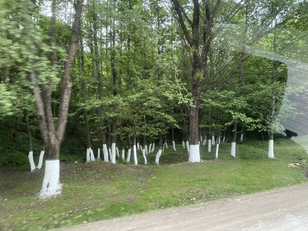 IMG-5929.jpg