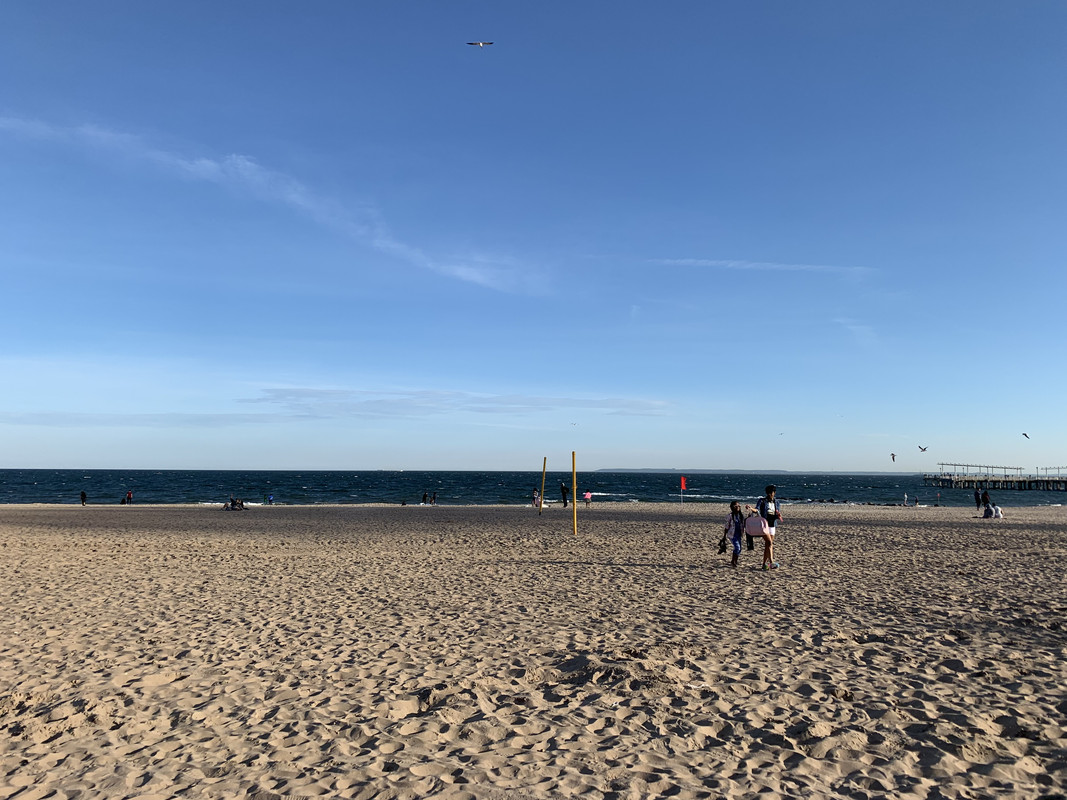 E0D23CD8-397E-4D15-9DF9-AF95CFC5EEA6