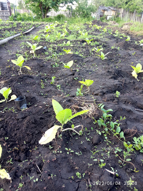 16543481043279024090543871859650