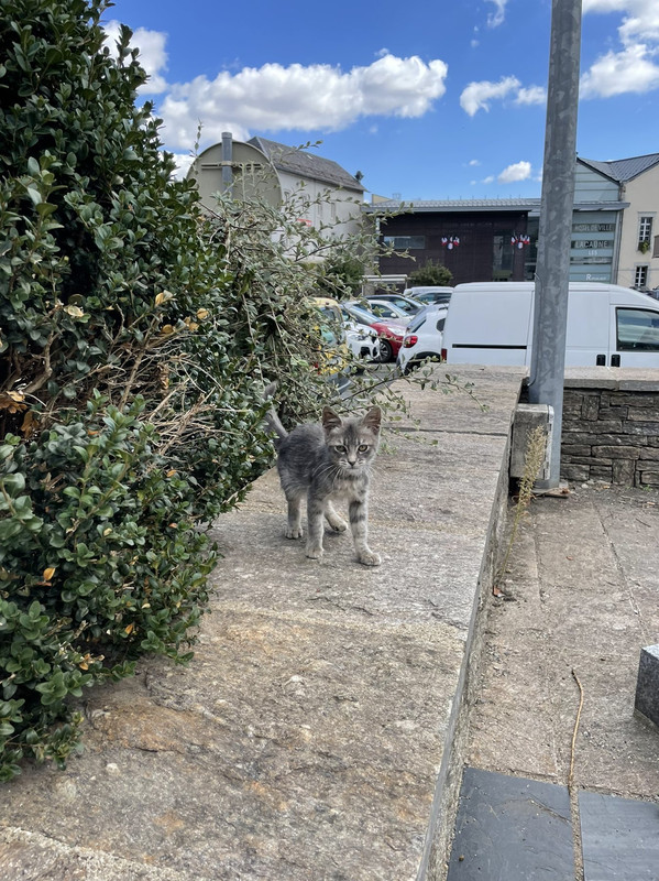 7A36D01E-5D0A-4F48-8C6A-70754CDA44BA