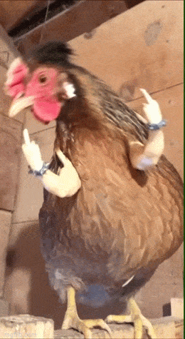 daily-gifdump-4355-24.gif