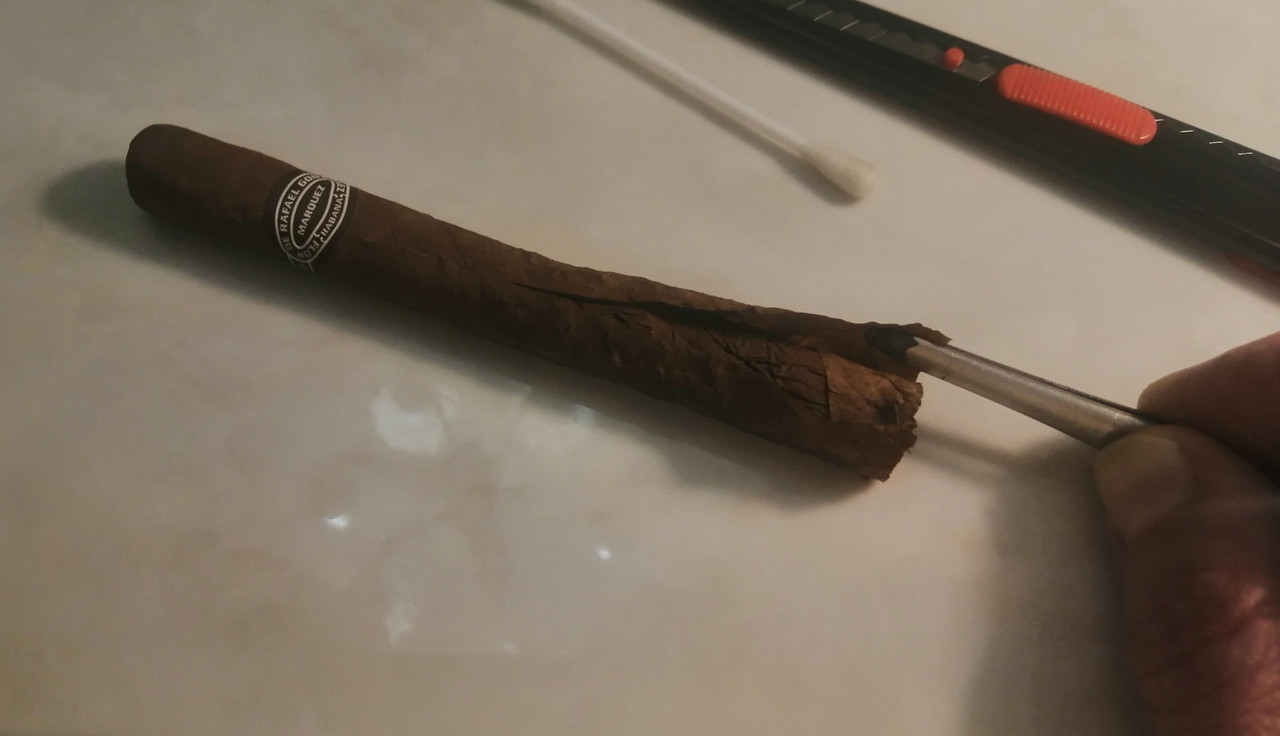 IMG_20220213_162159[1]