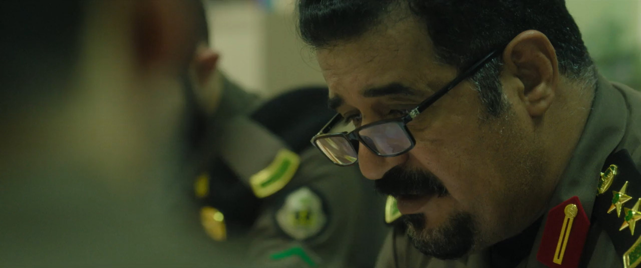 Unidentified 2026 WebRip [Hindi + Tamil + Telugu + Arabic] 480p 720p ESub Screenshot