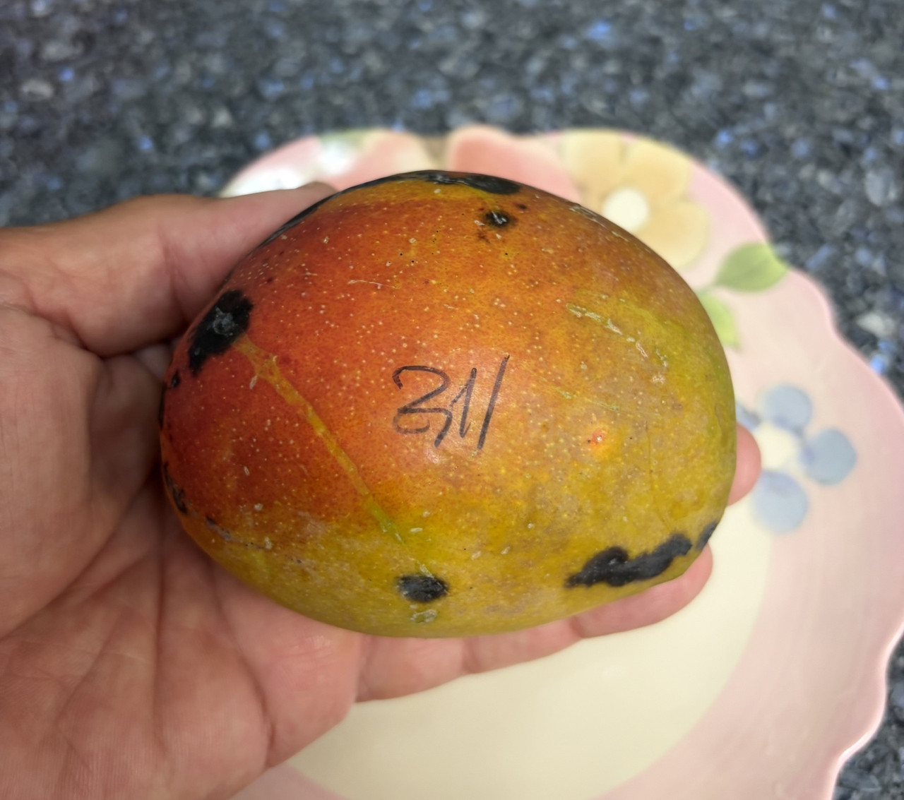 Zill mango
