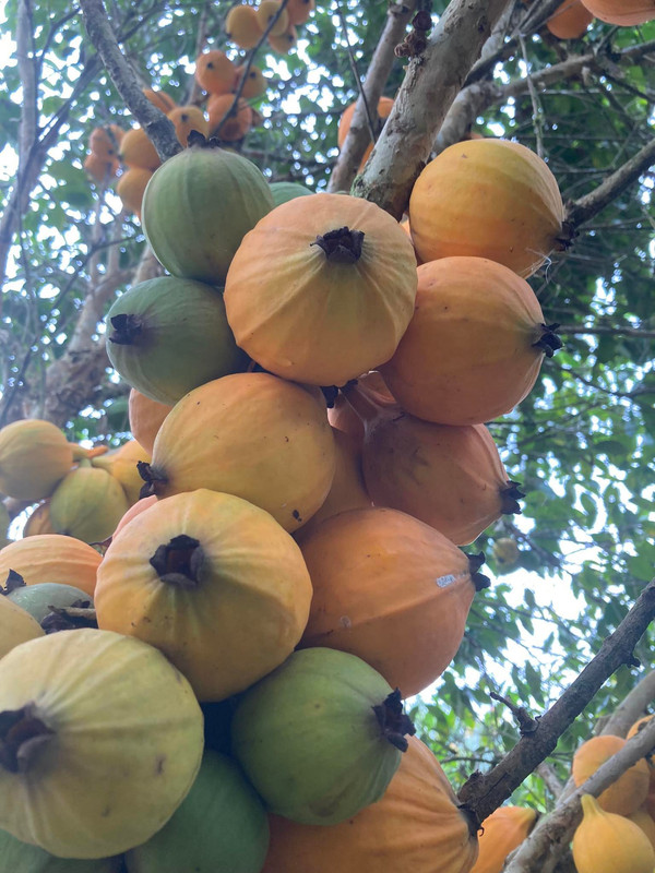 274126442_320196096797506_7836648977318882296_n (1)