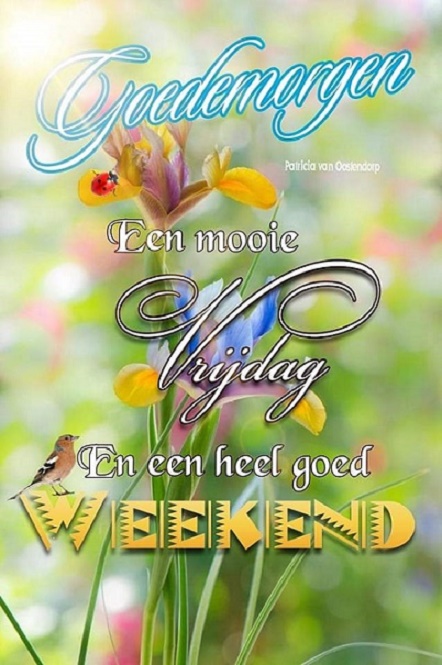 g-OEDE-MORGEN-VRIJDAG