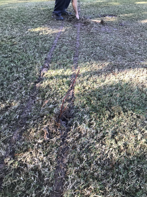 CBB01EE6-AF21-4D33-8BC9-770353B3D2BD