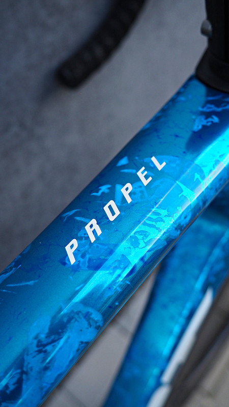 P1010068_PSX_916_1440