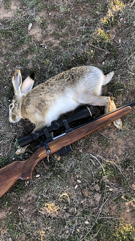 595B049B-BC54-4A68-B27E-ED3F19542F1C