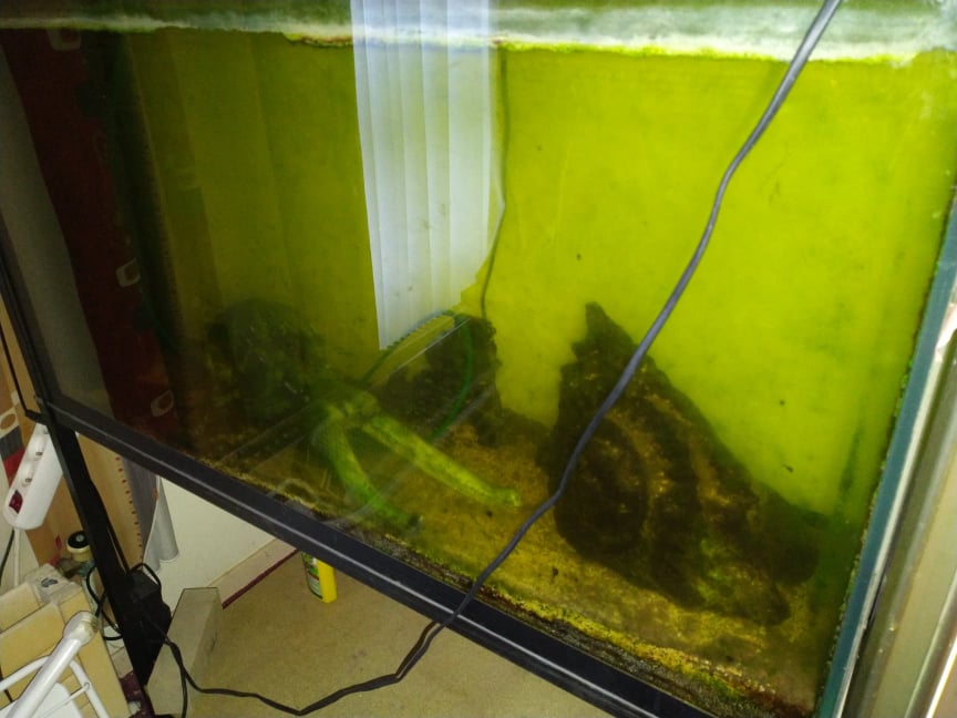 273280522_2219810561490230_3157127268673825224_n