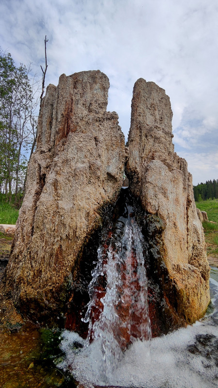 Wdr7-KYGoiac.jpg