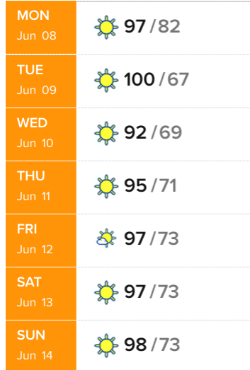 Screenshot-2020-06-08-at-6-15-07-AM.png
