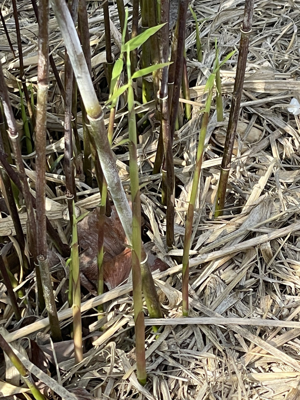 3F590DAF-9BCF-4797-9506-CF500AB07D75