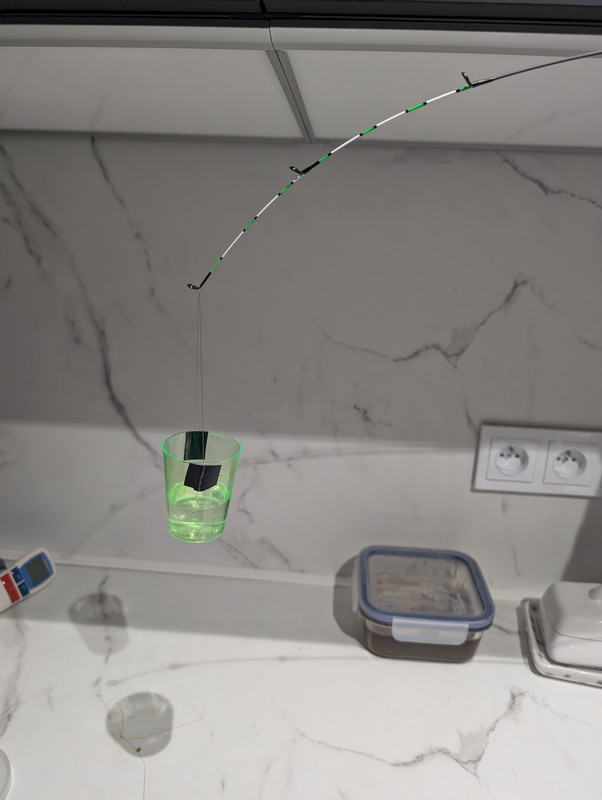 PXL 20260212 144614896