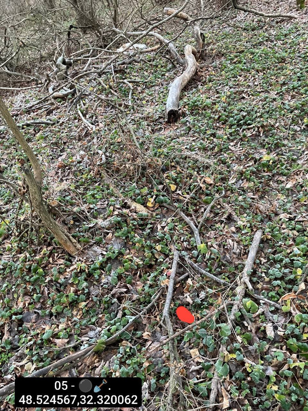 IMG 20251207 115959 830