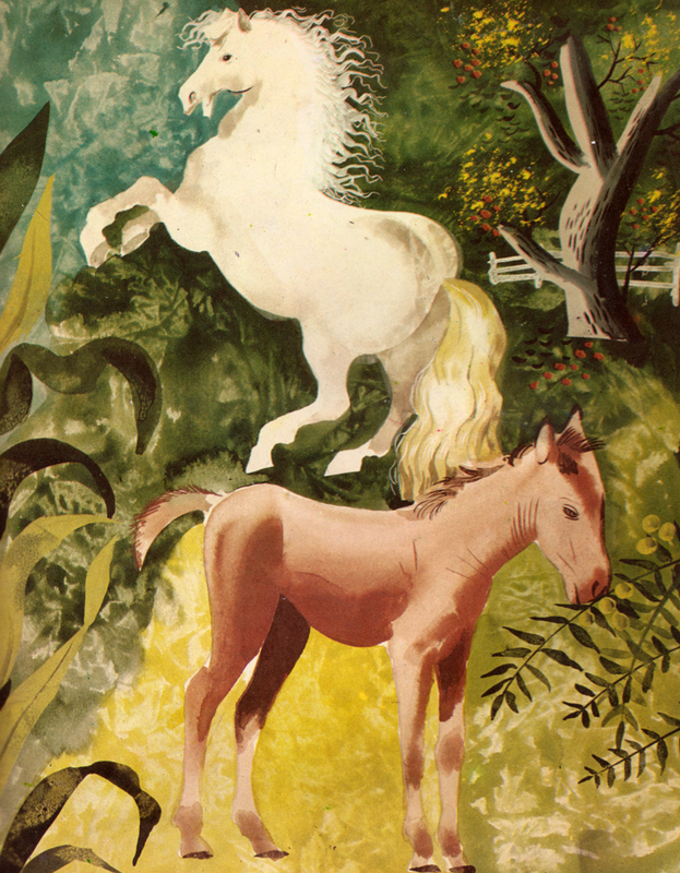 6879381675_91ca01025a_o