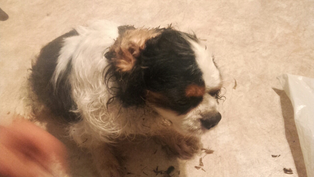 3E40BC7C-2B67-42B8-9484-8CAD6699F57D