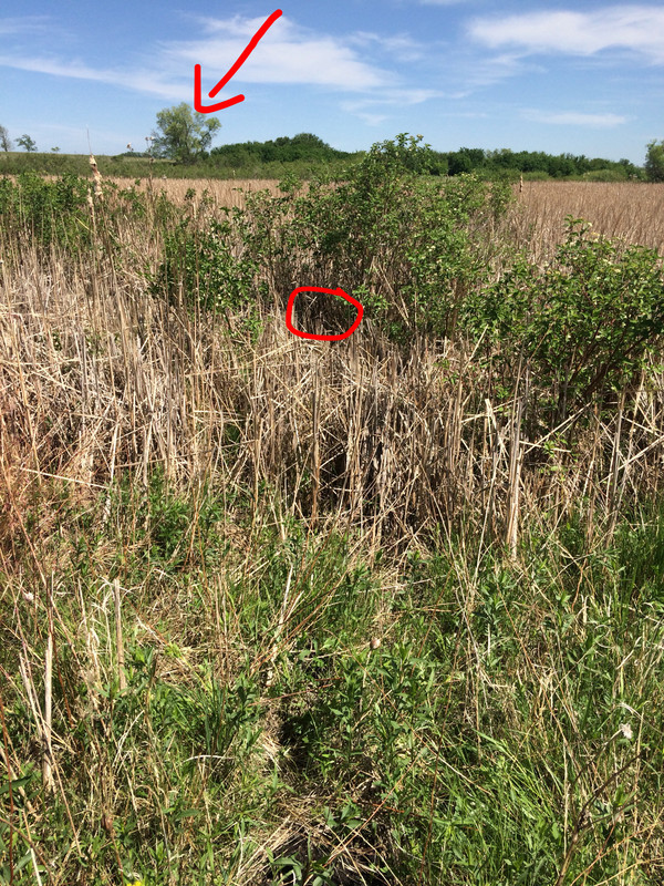 4EB48D84-F916-4063-931C-30D2D690678A