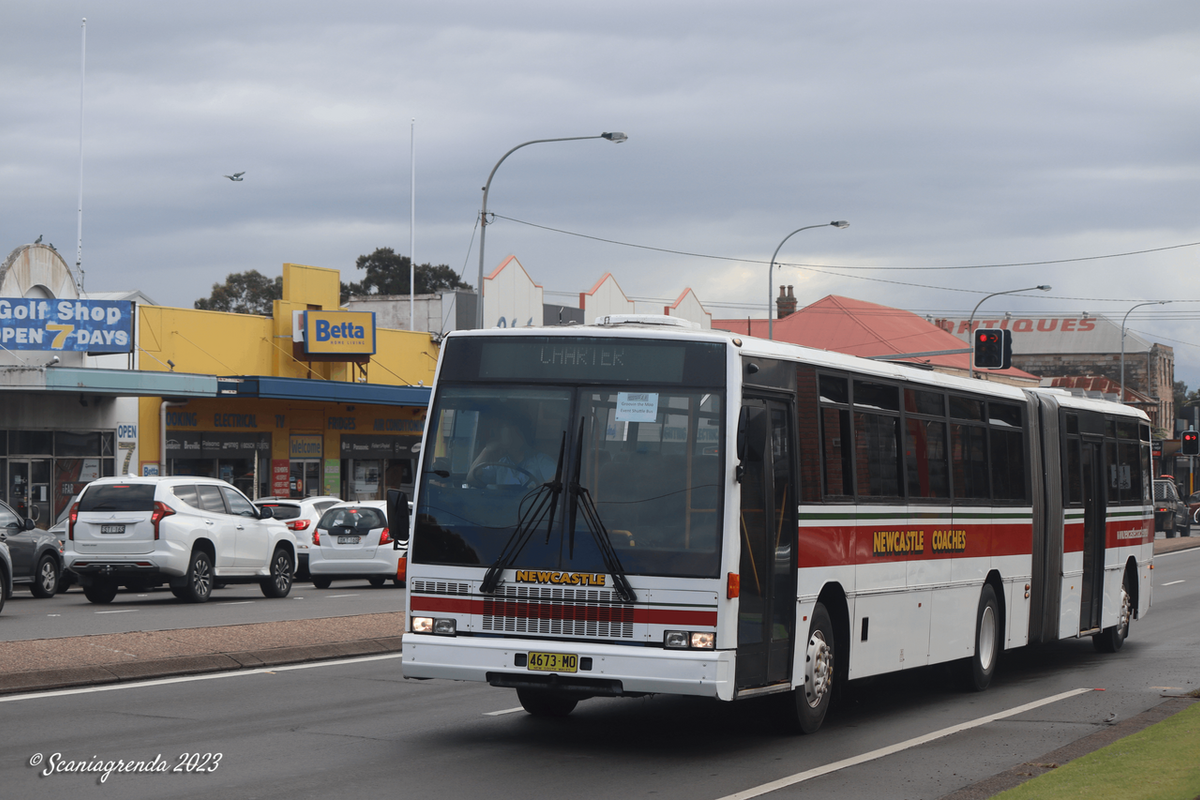 Moovin in Style, Groovin the Moo Buses Maitland 22/04/23
