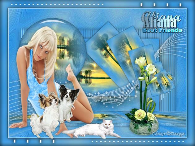 Image and video hosting by TiyPic