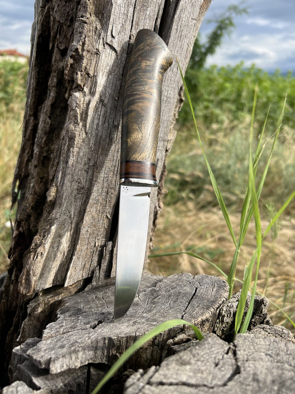 215E6BD5-ADA3-4EF1-A99A-7D277A426F00