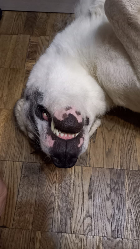 00356CCC-6888-4E0A-B2B9-F32779EB3518