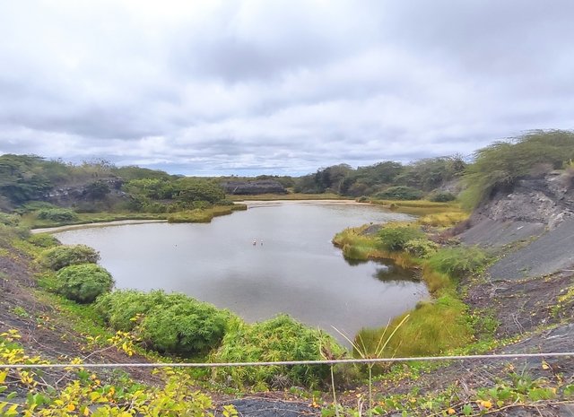 Galápagos 2022 - Blogs de Ecuador - Día 8 (26 de junio): Muro de las Lágrimas y Concha Perla (4)