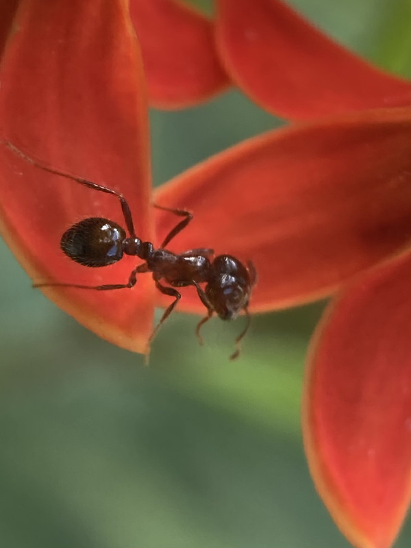 D4F20572-0552-43ED-AEA7-65AE317C7855