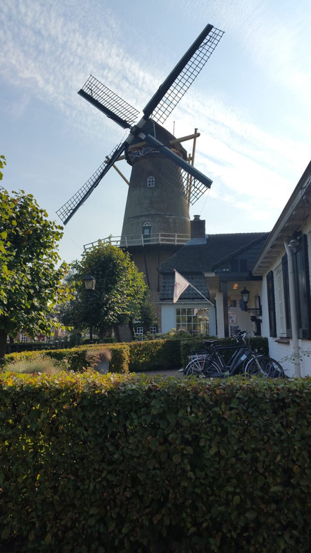 Pieter, Den Arend 03 Bergambacht 06-10-2018