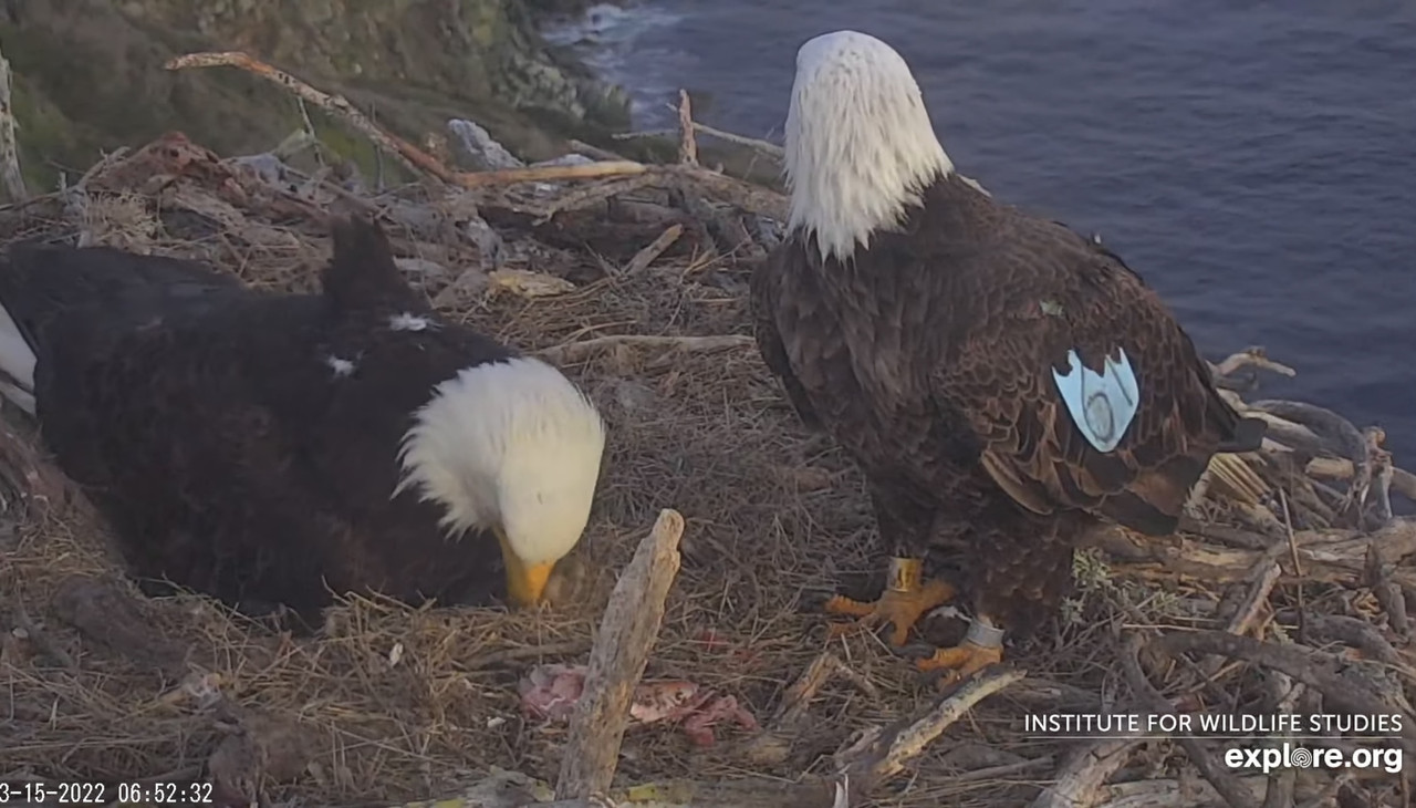 799F5FF0-A0E5-4C0D-84FA-F7B8FACD303B